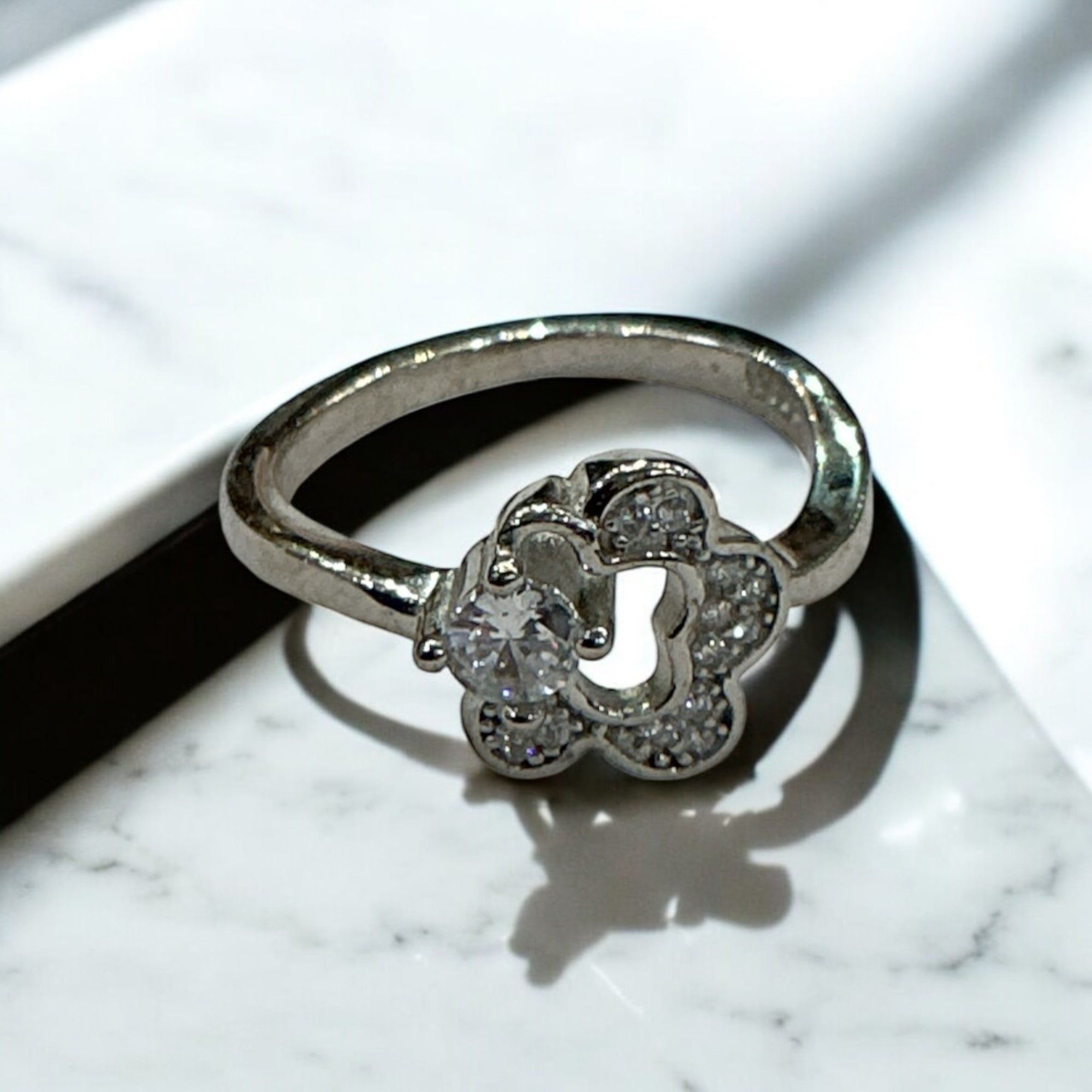 "NASHIK RING"